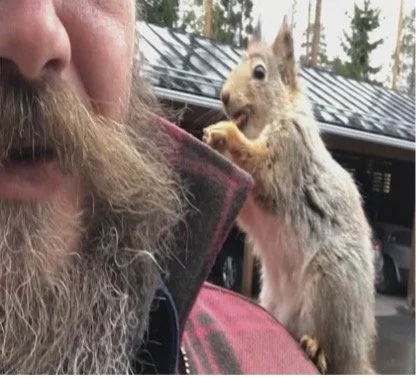 Surprised by Joy