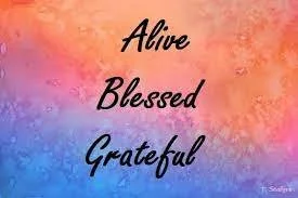 Living Gratefully and Abundantly 