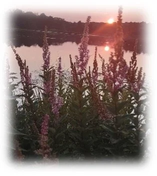 The Adventures of Today