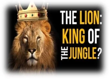 The King of the Jungle