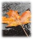 Lesson Learned from a Rainy Day