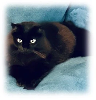 I’ll Love You Right There