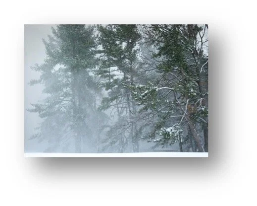 …And the Wind Blows