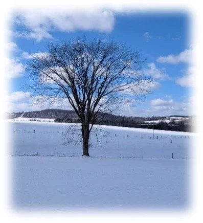 An Encouraging Sermonette