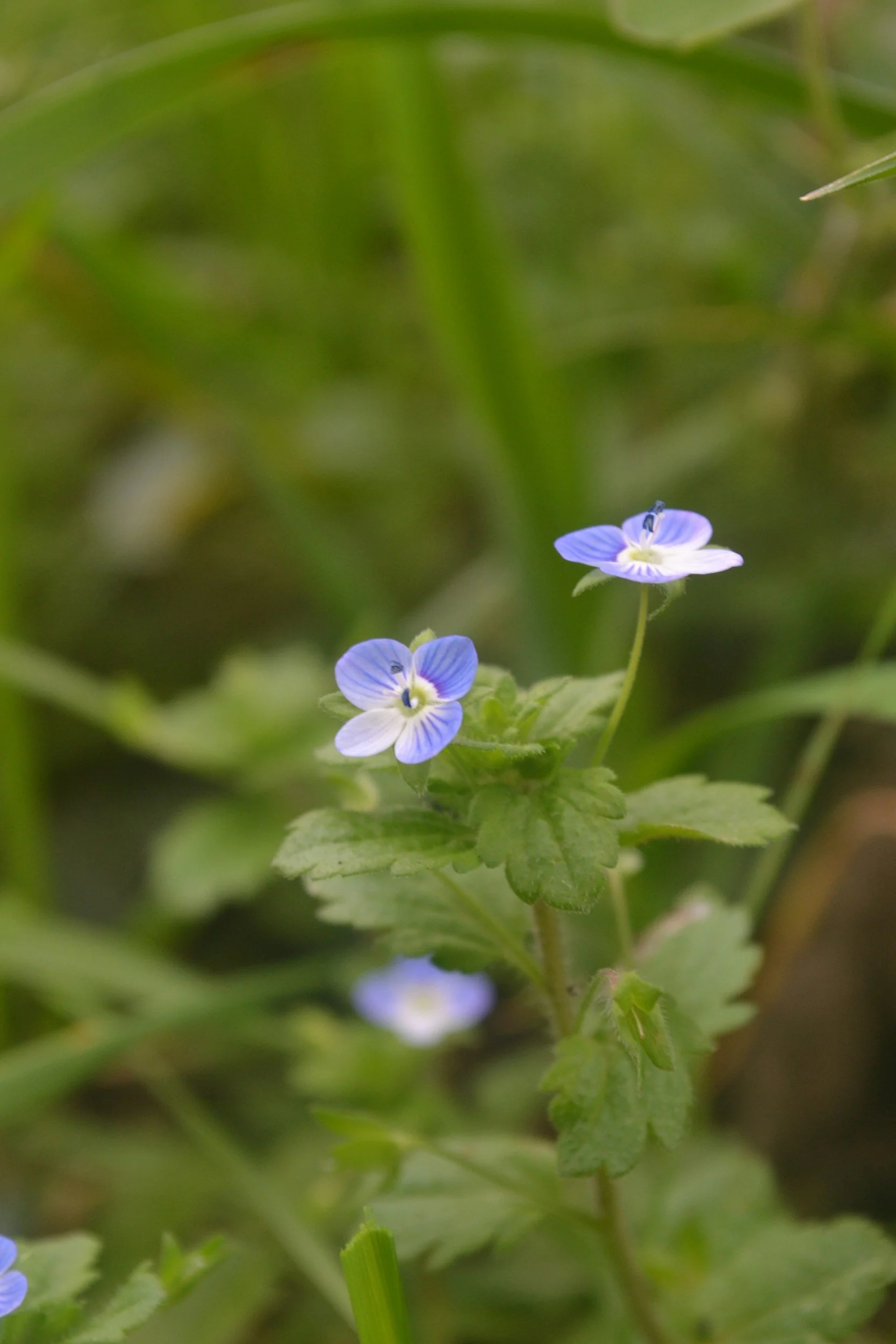 Zoom in on the Smaller Blessings