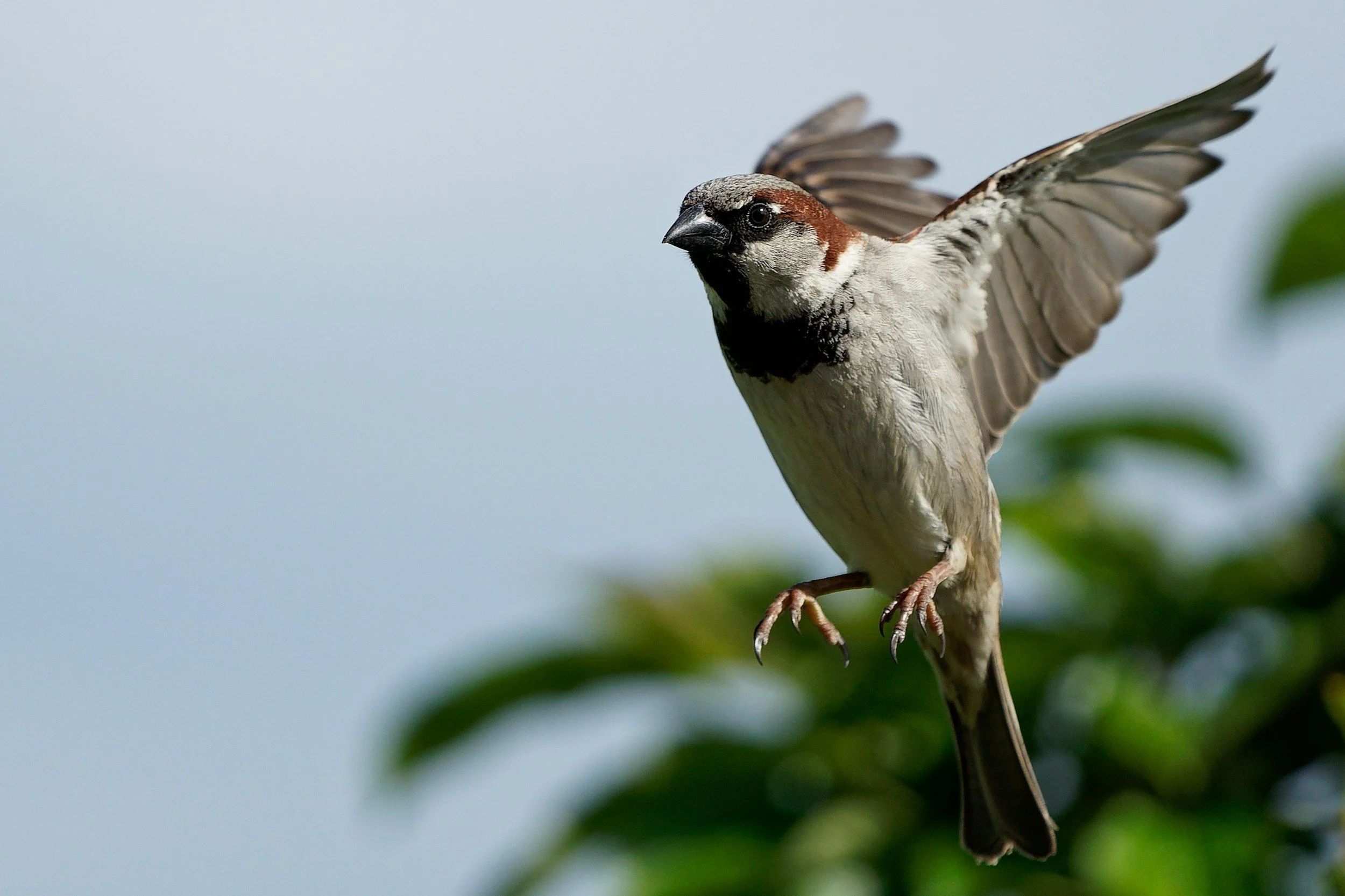 The God Who Watches the Sparrows