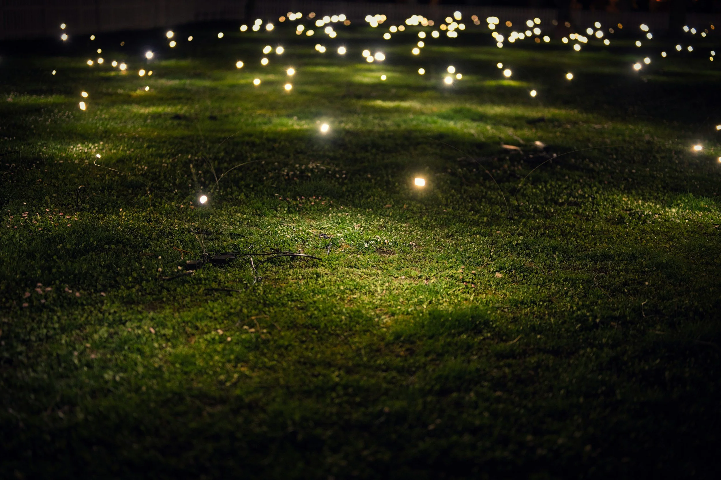 Fireflies, Strawberry Pies