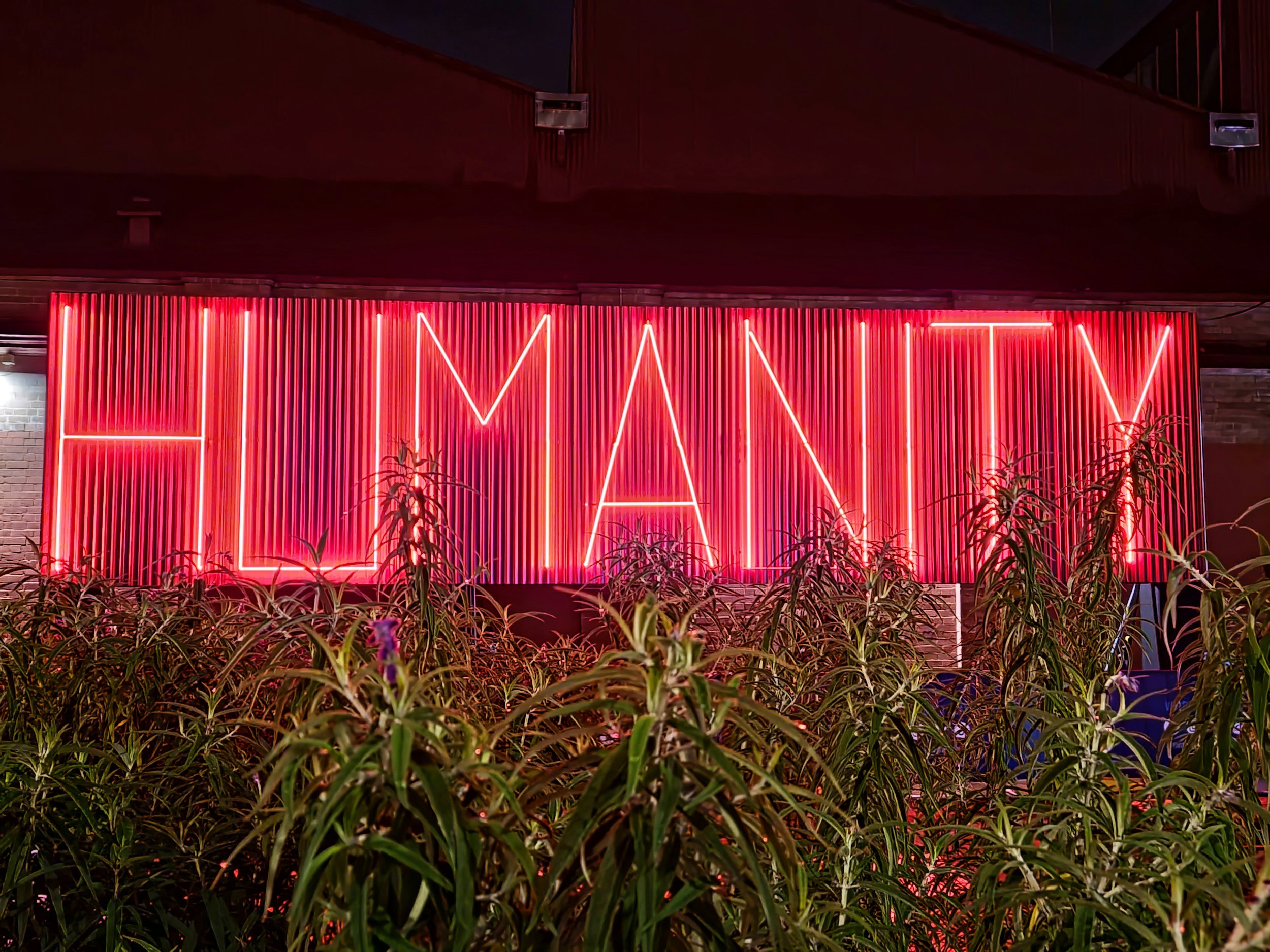 Recognizing Humanity
