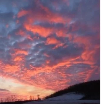 Scampering Thoughts