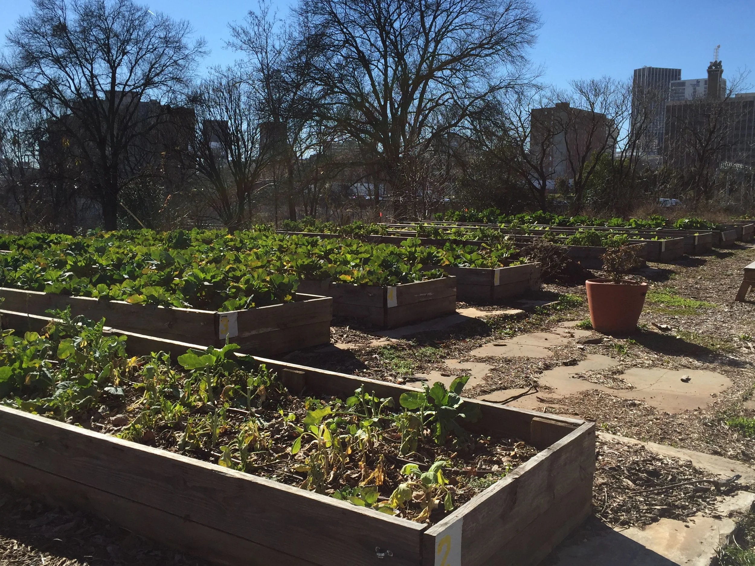 Fulton County Georgia Declares Importance of Small Farms and Urban Agriculture: A Giant Leap Toward Food Equity