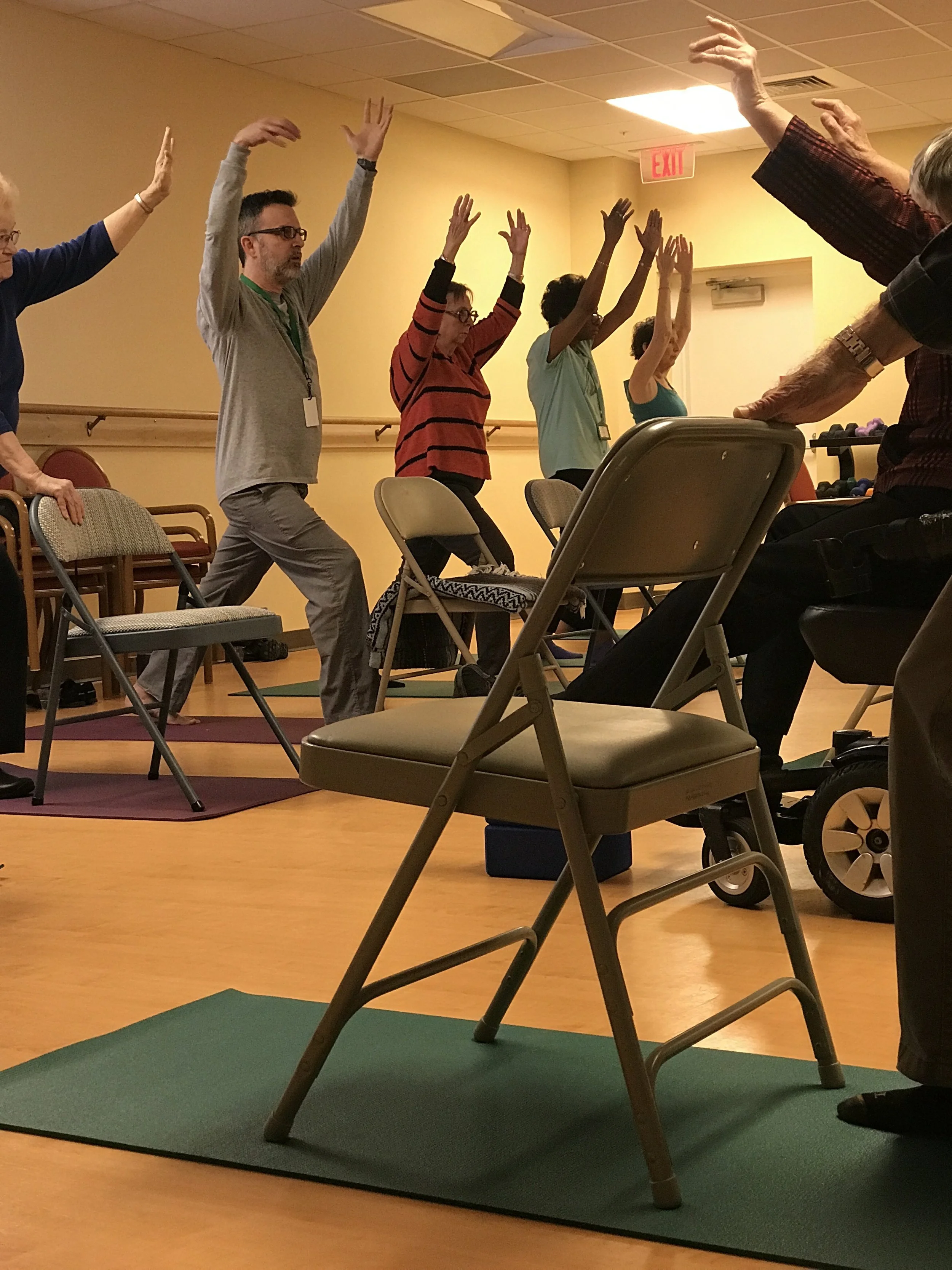 Chair Yoga—A Workshop for Teachers