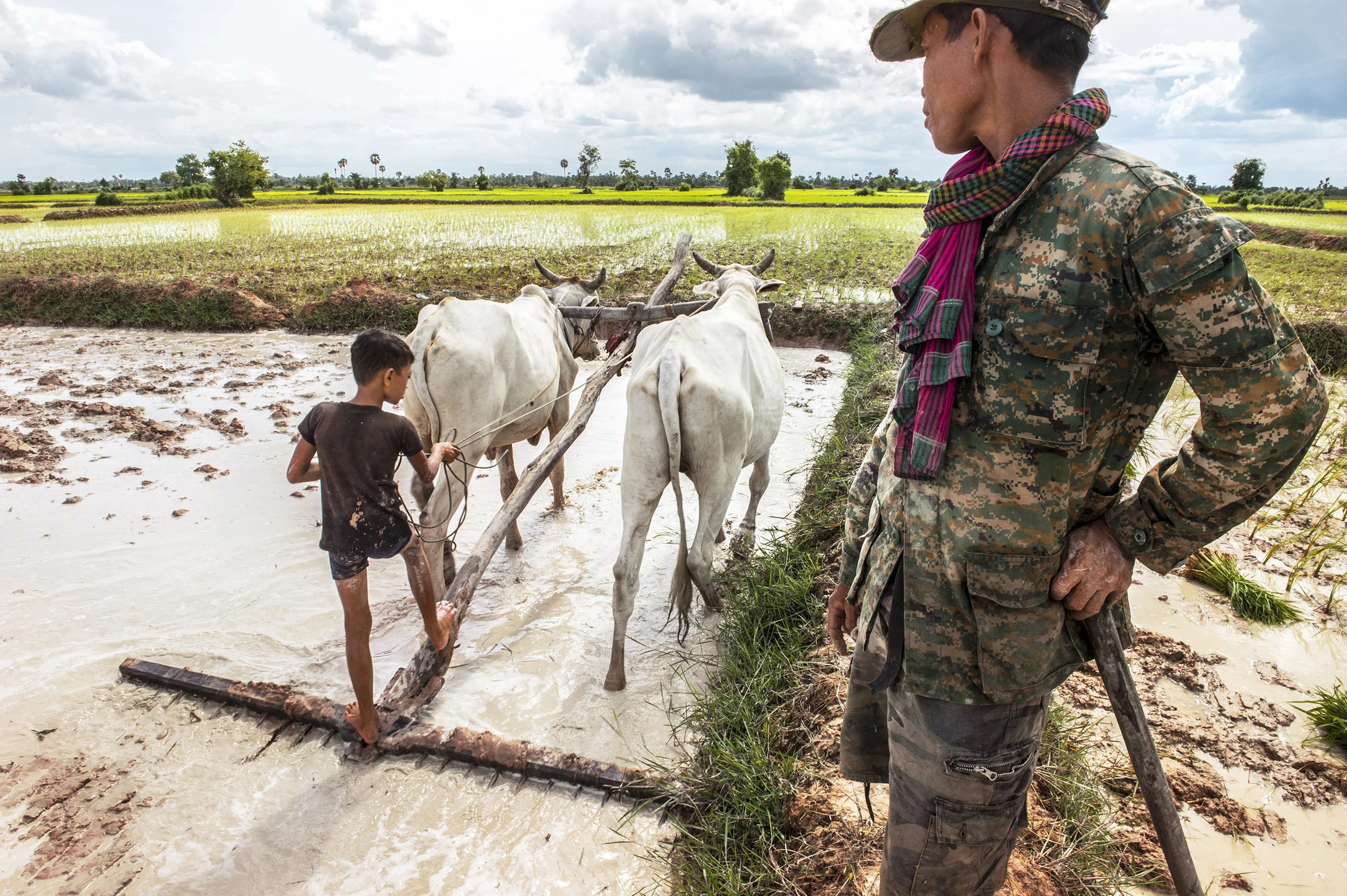RICE SOLDIER
