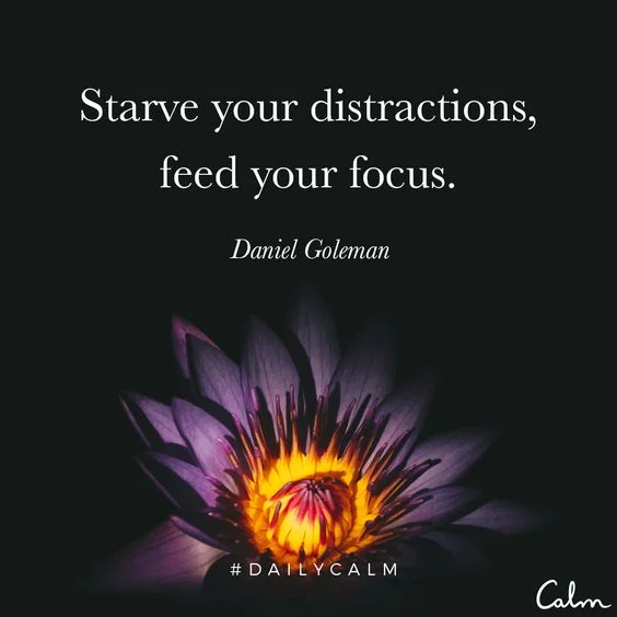 StarveDistraction.jpg