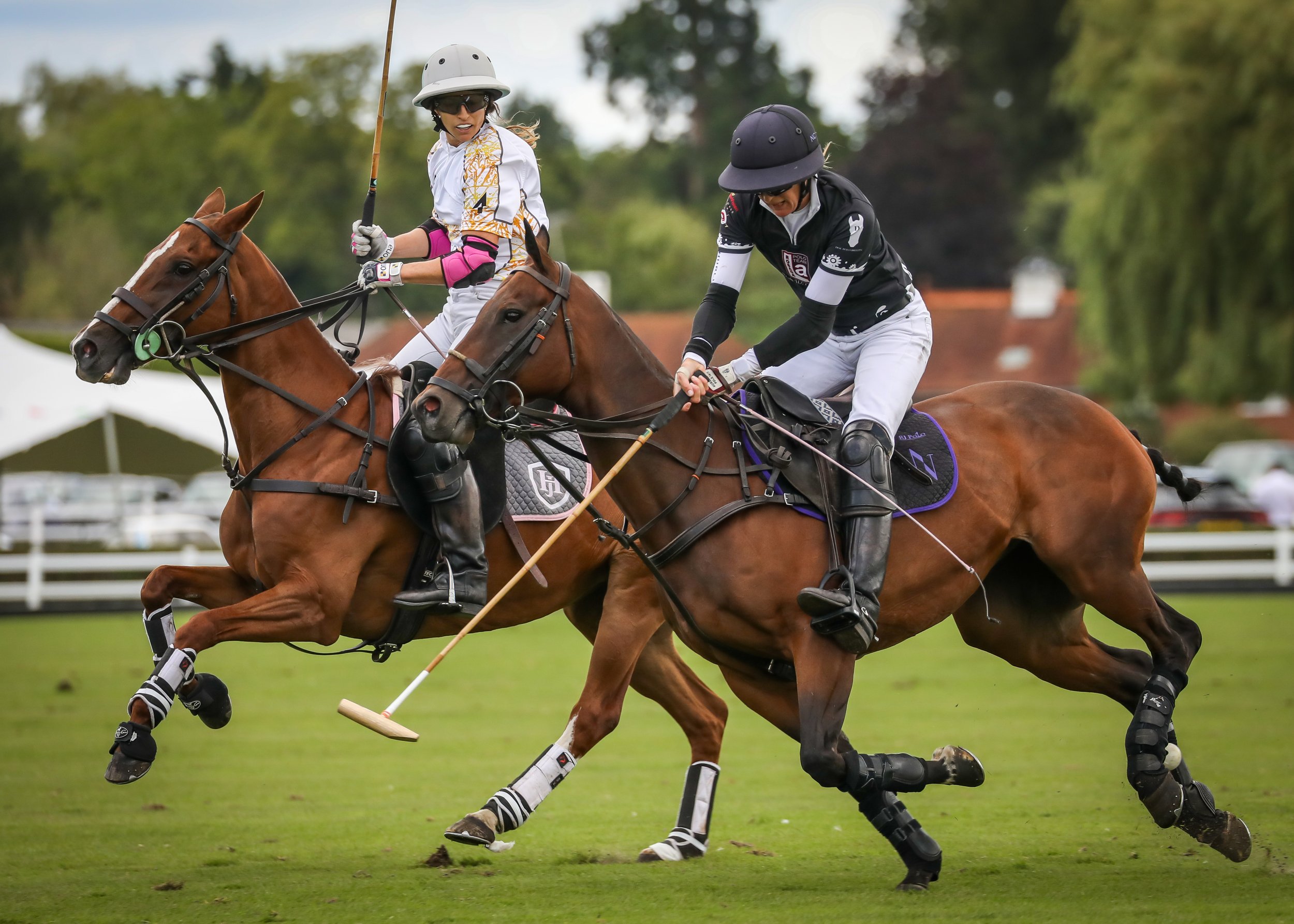 Polo Club-37-(ZF-4222-29080-1-021).jpg