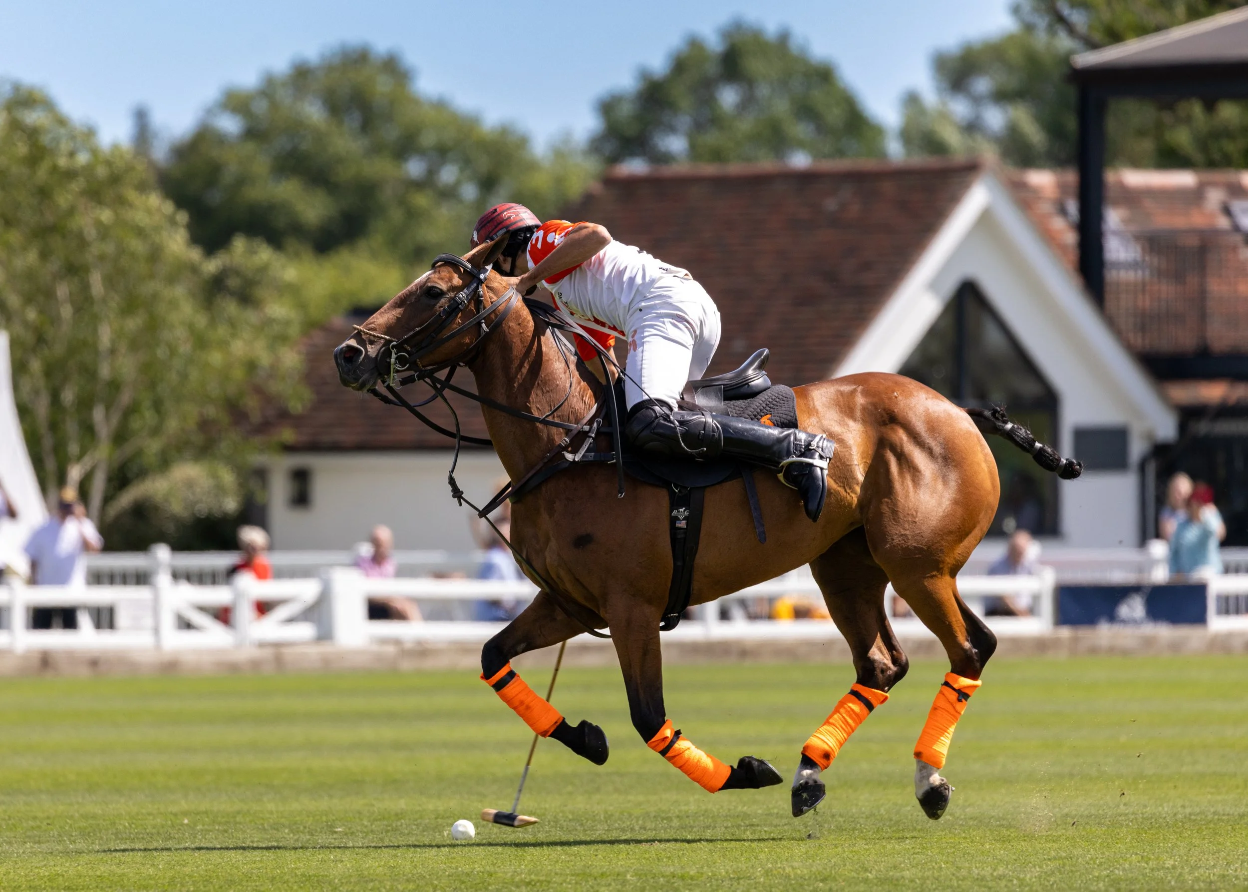 0Y2A4076.jpg