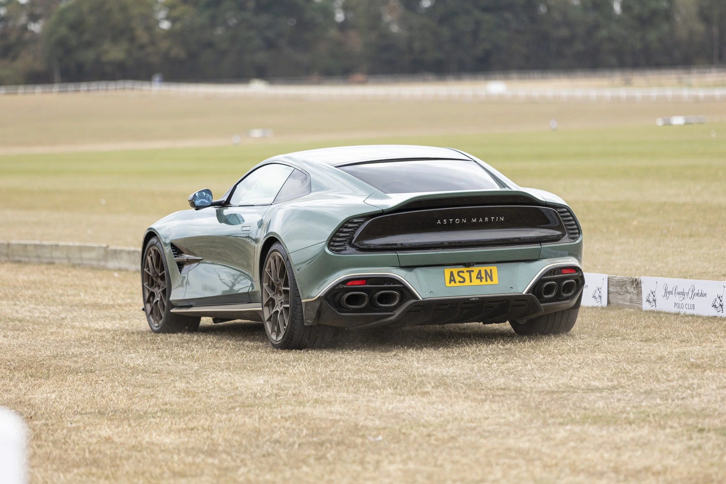 991A6905.jpg