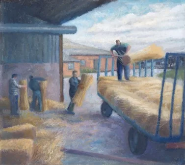 hay cut.jpg