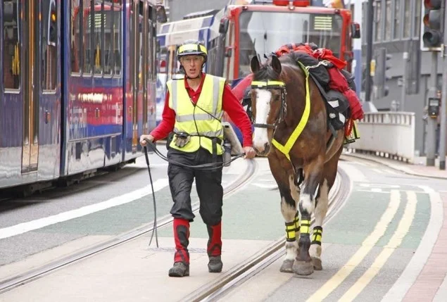 tram cut.jpg