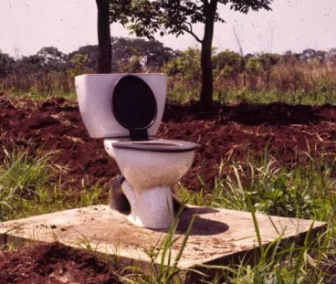loo cut 2.jpg
