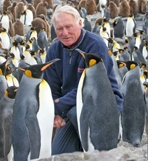 sparks_penguins.jpg