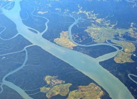 rivver cut.jpg