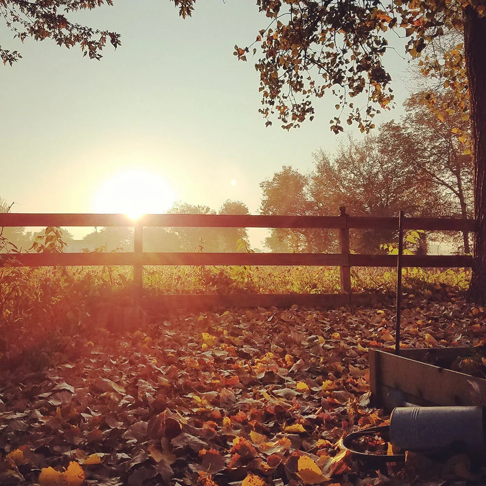 fall-sunrise.jpg