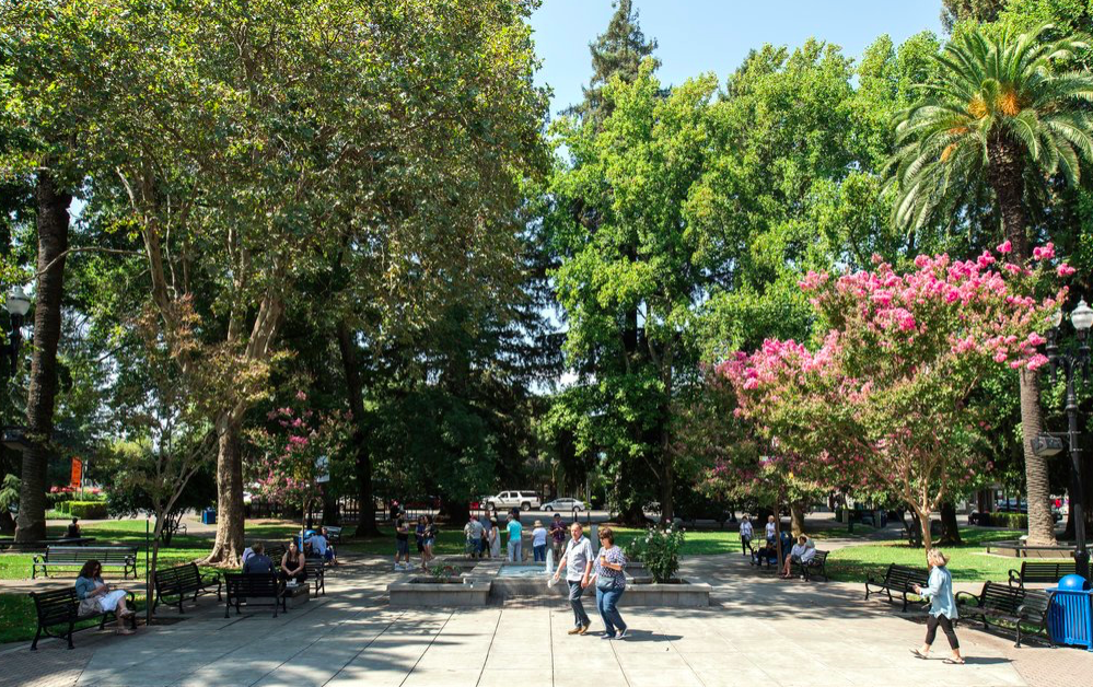 36 HOURS IN SONOMA COUNTY