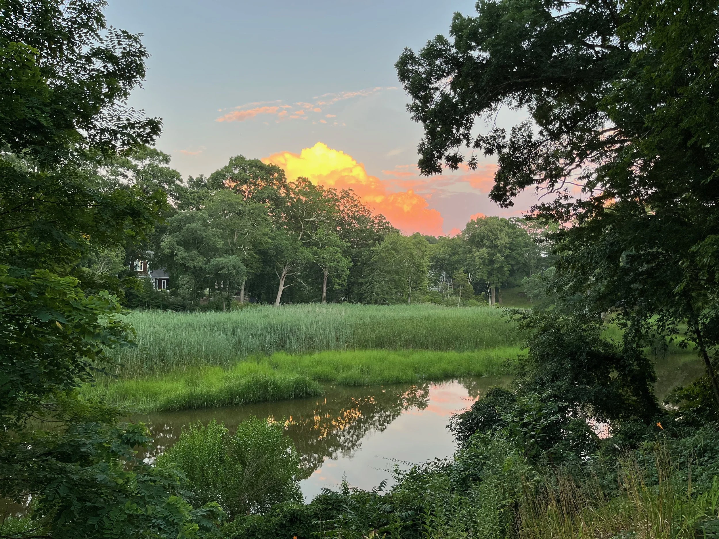 The bounty of summer