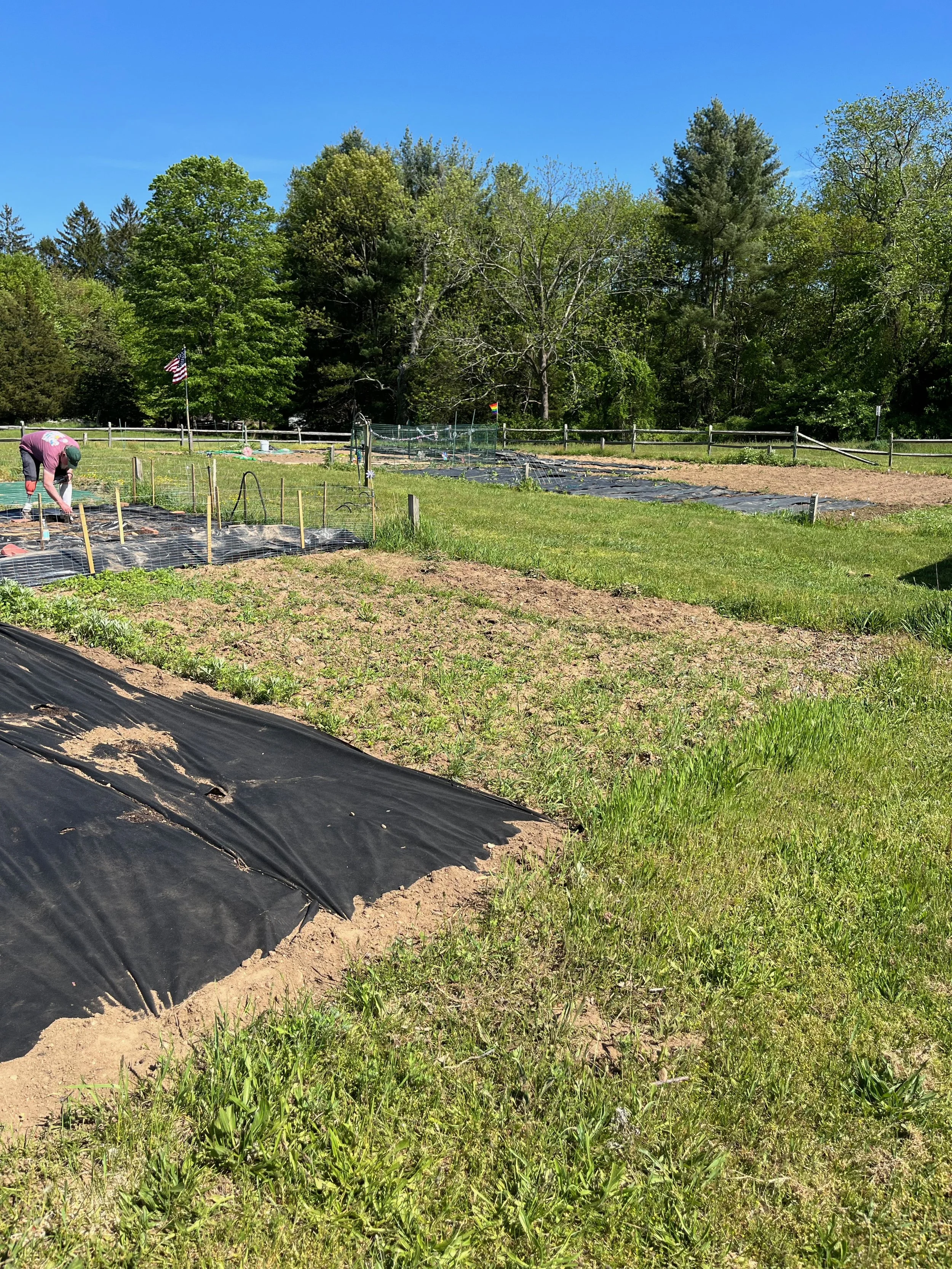 Composting and gardening