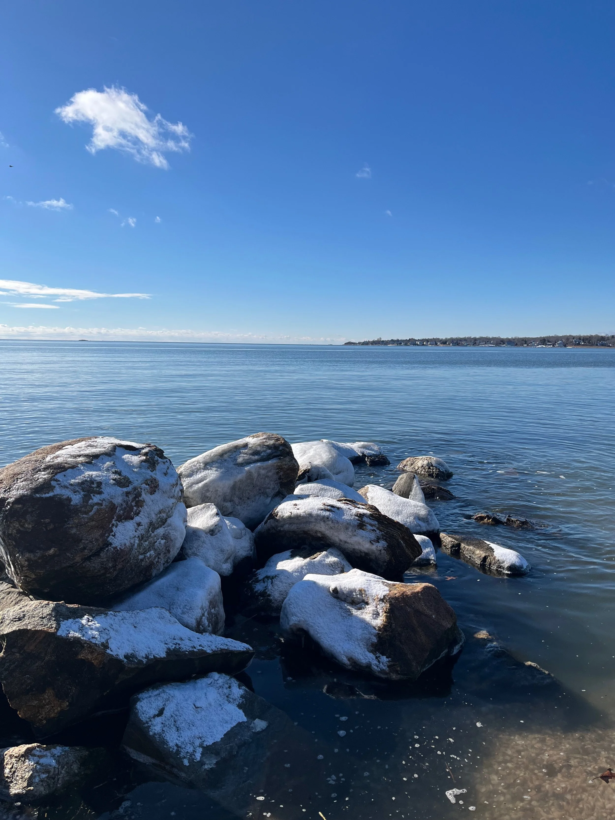 More pleasure in 2026