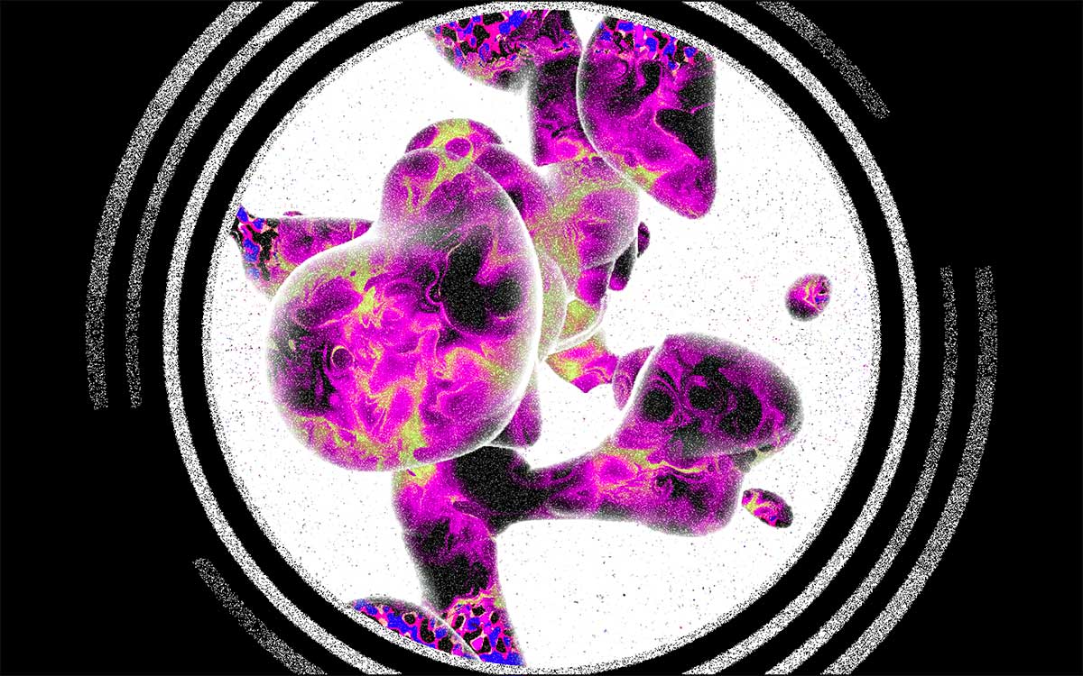 Sparkling_Quantum_Plasticine_LauraCoutoRosado2.jpg
