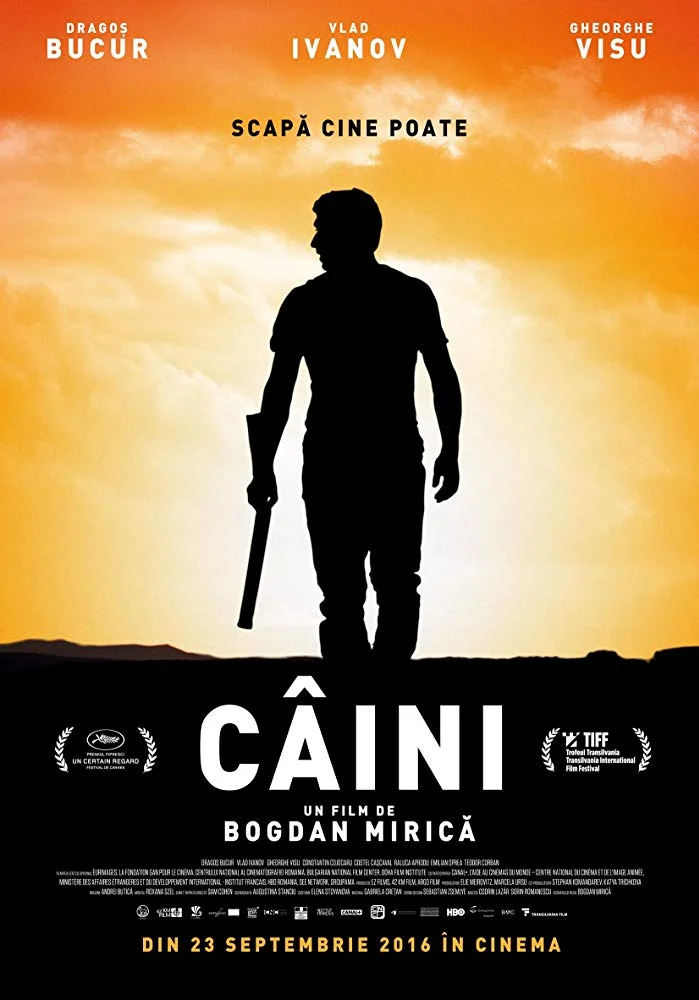 Caini.jpg