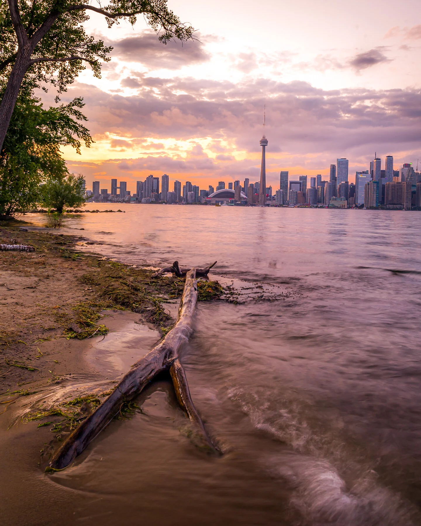 Toronto Island-2.JPG