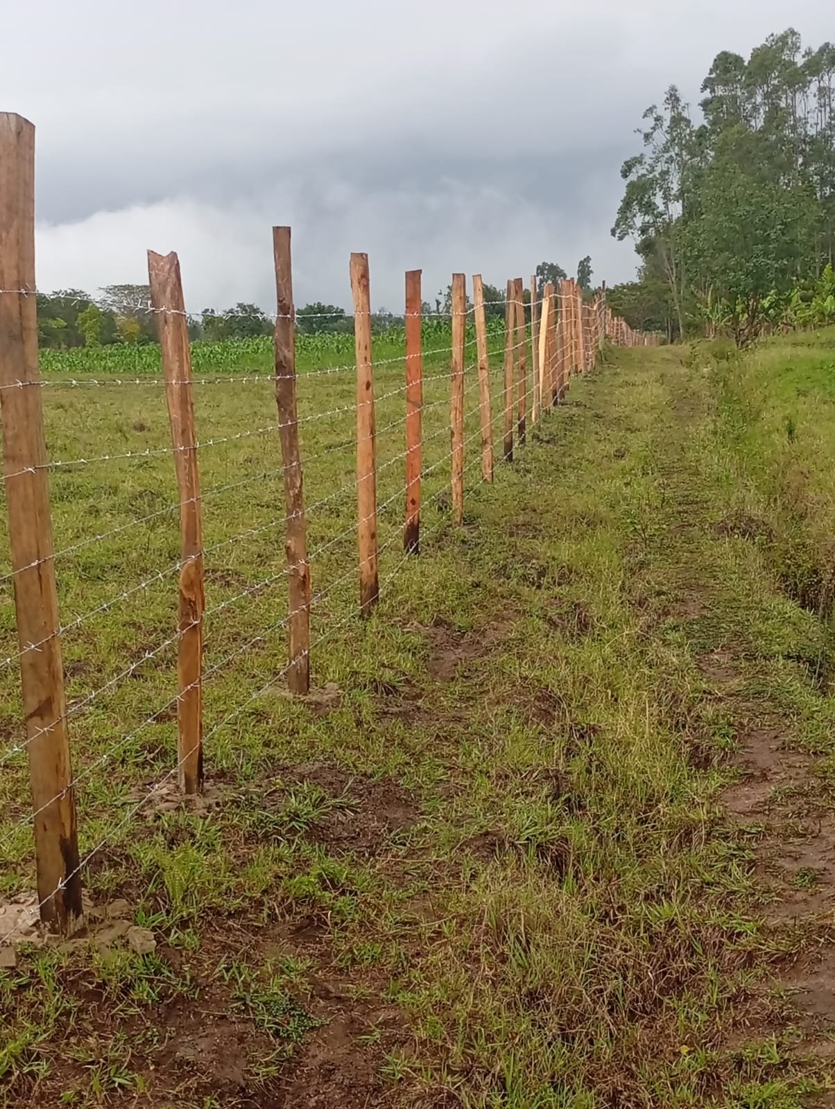 land surveyed by new owners