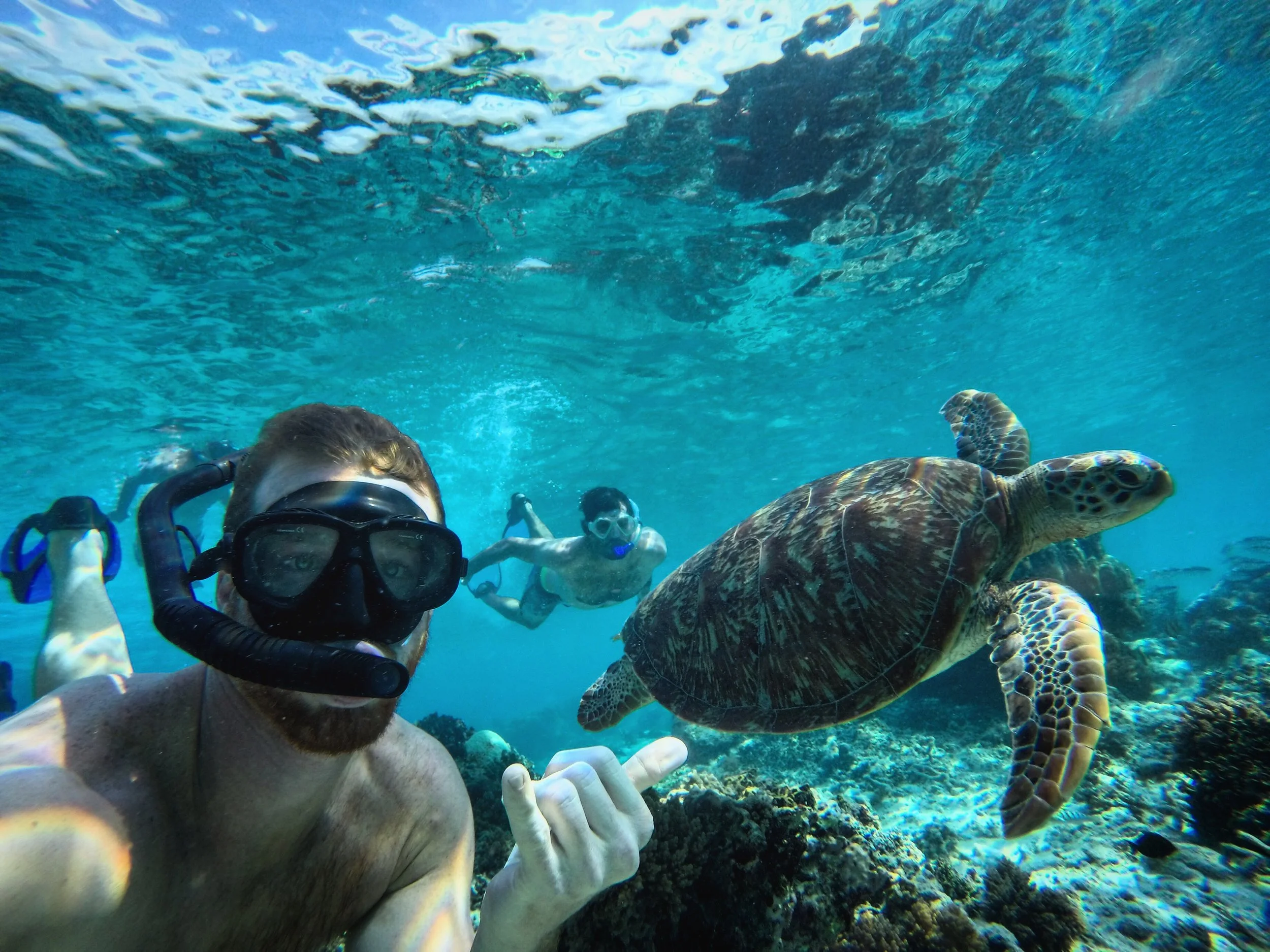 Episode 11- Beauty in the Chaos Pt. 2 with Nick Watts