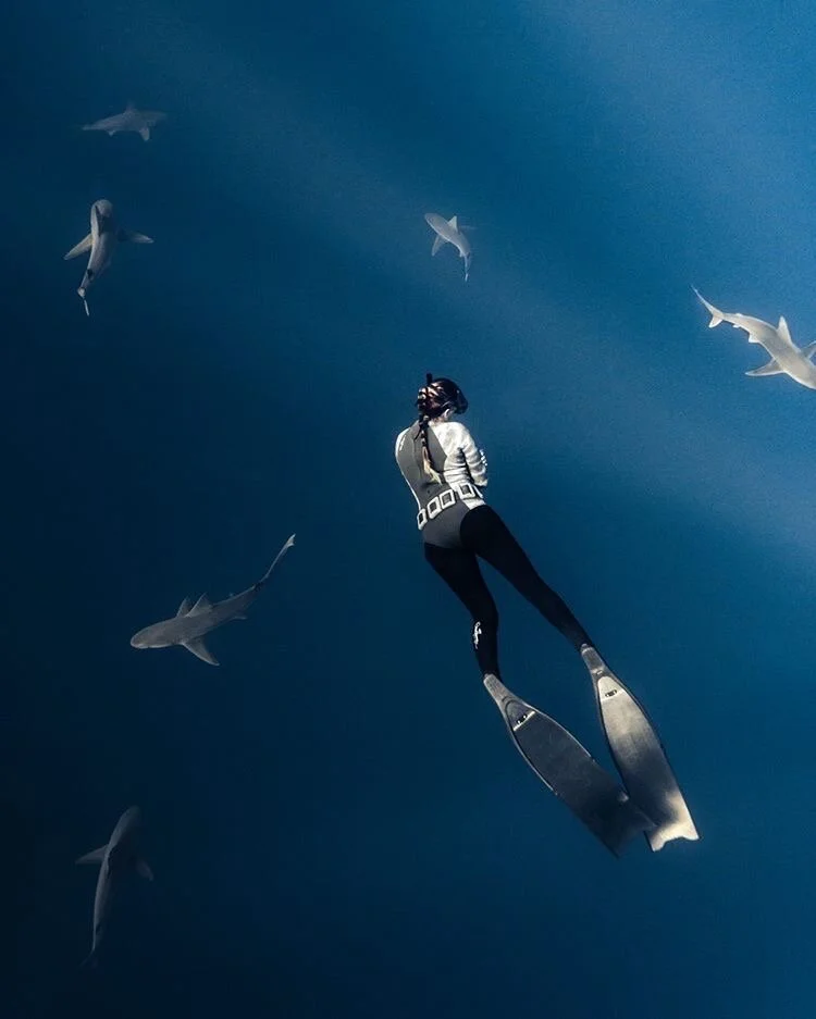 Episode 47 - Shark Lady with Andriana Fragola 