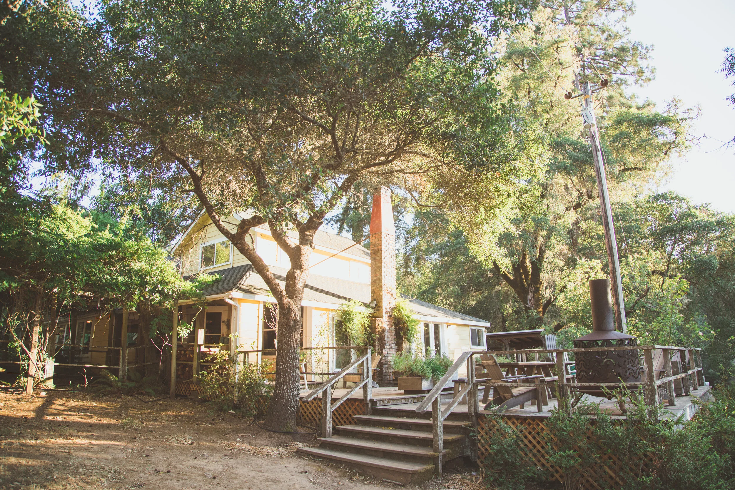 Blackbird Farm — Occupation Wild