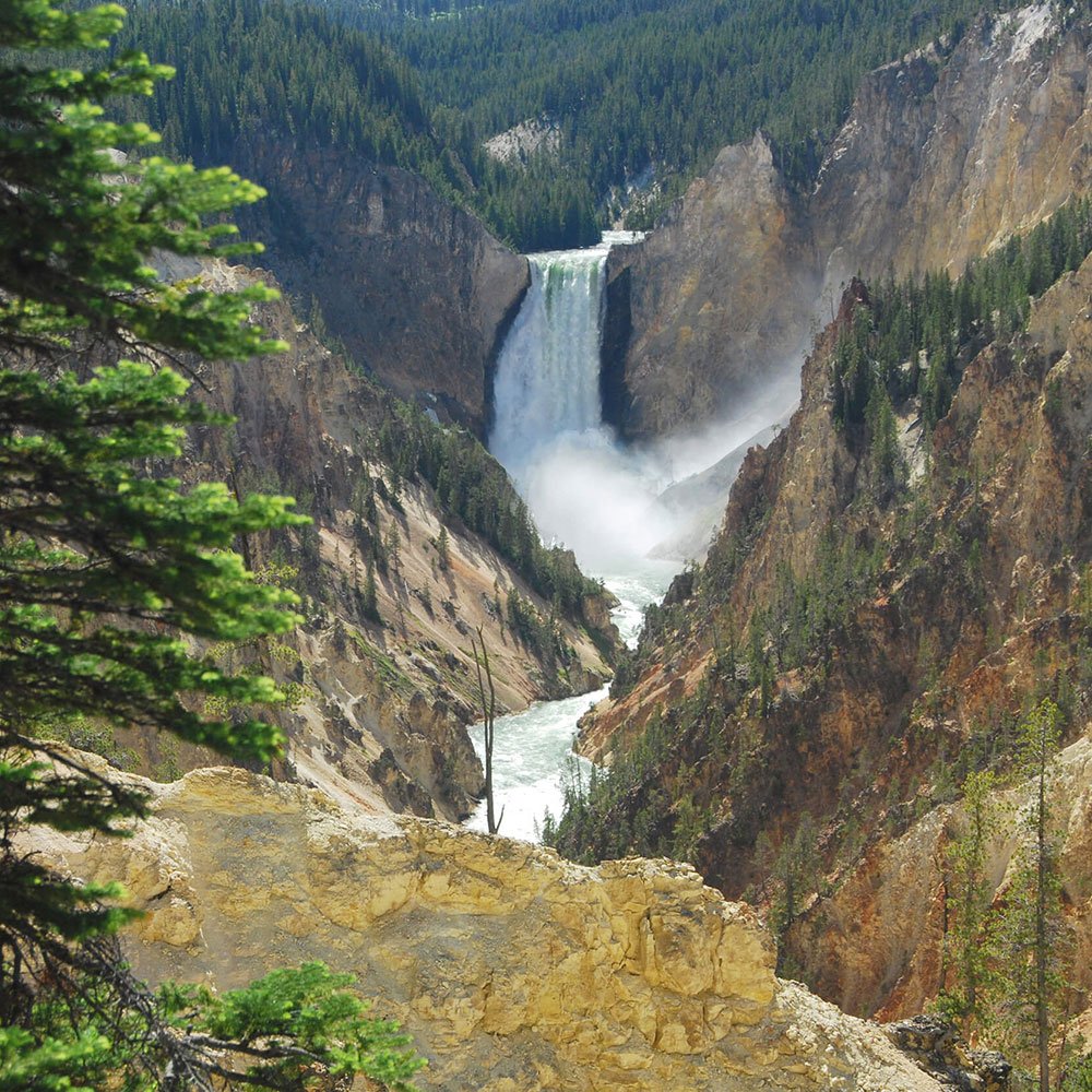 YNPLower-Falls-of-the-Grand-Canyon-of-the-Yellowstone-1.jpg