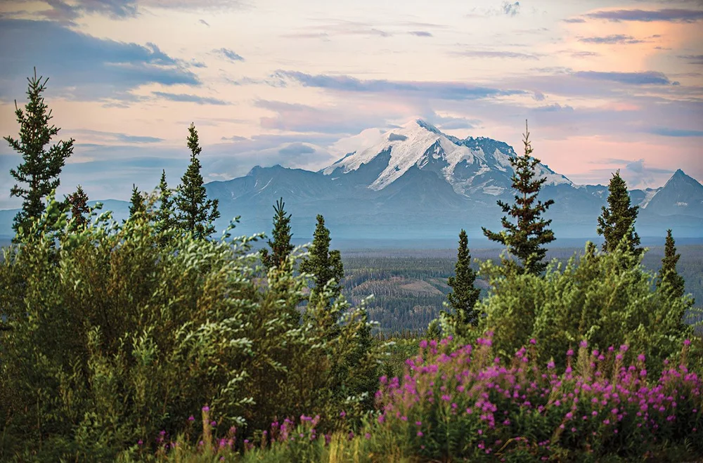 Holland America-Princess Alaska/Yukon Hotel and Restaurant Operations —  Occupation Wild