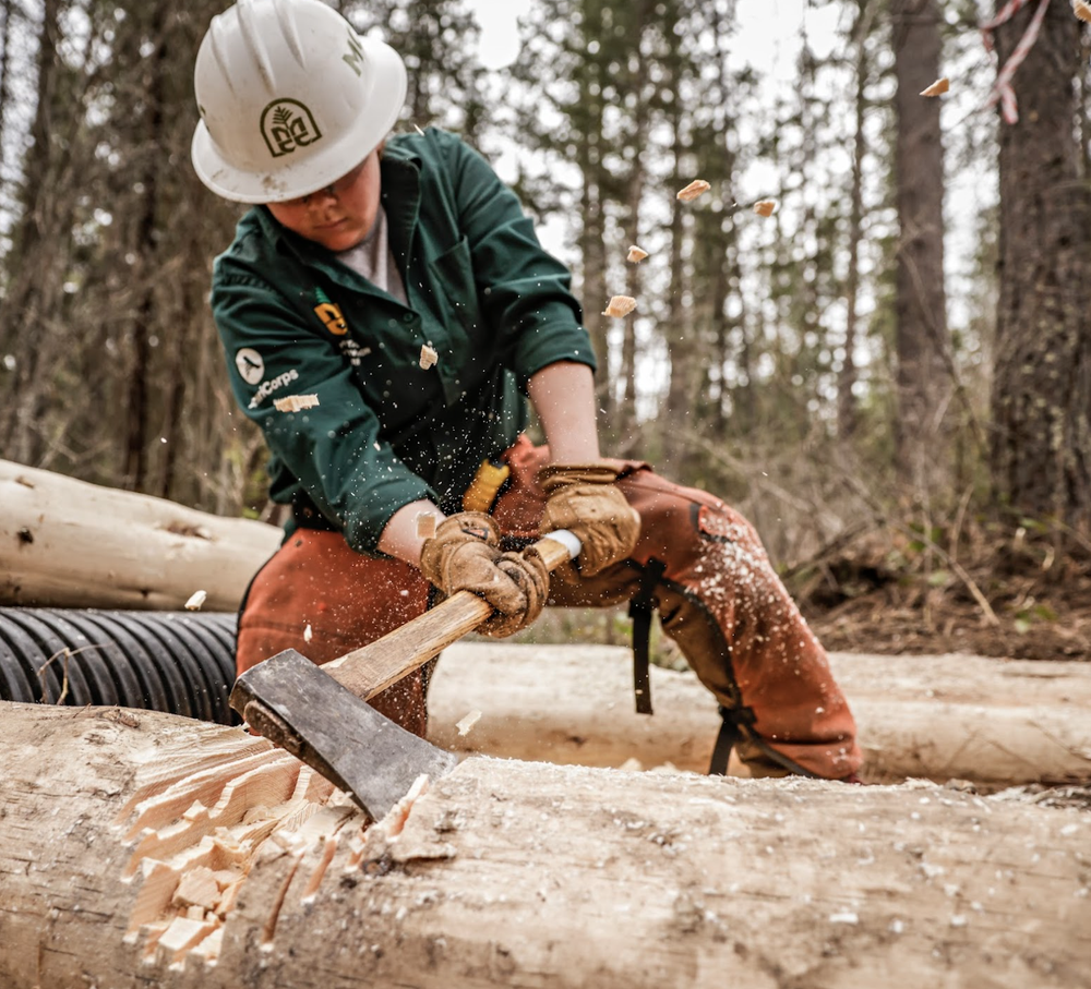 Montana Conservation Corps — Occupation Wild