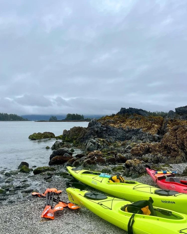 All Jobs — Occupation Wild