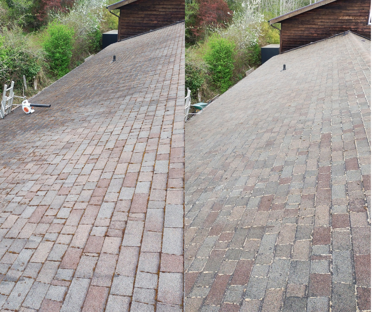 Roof Softwashing