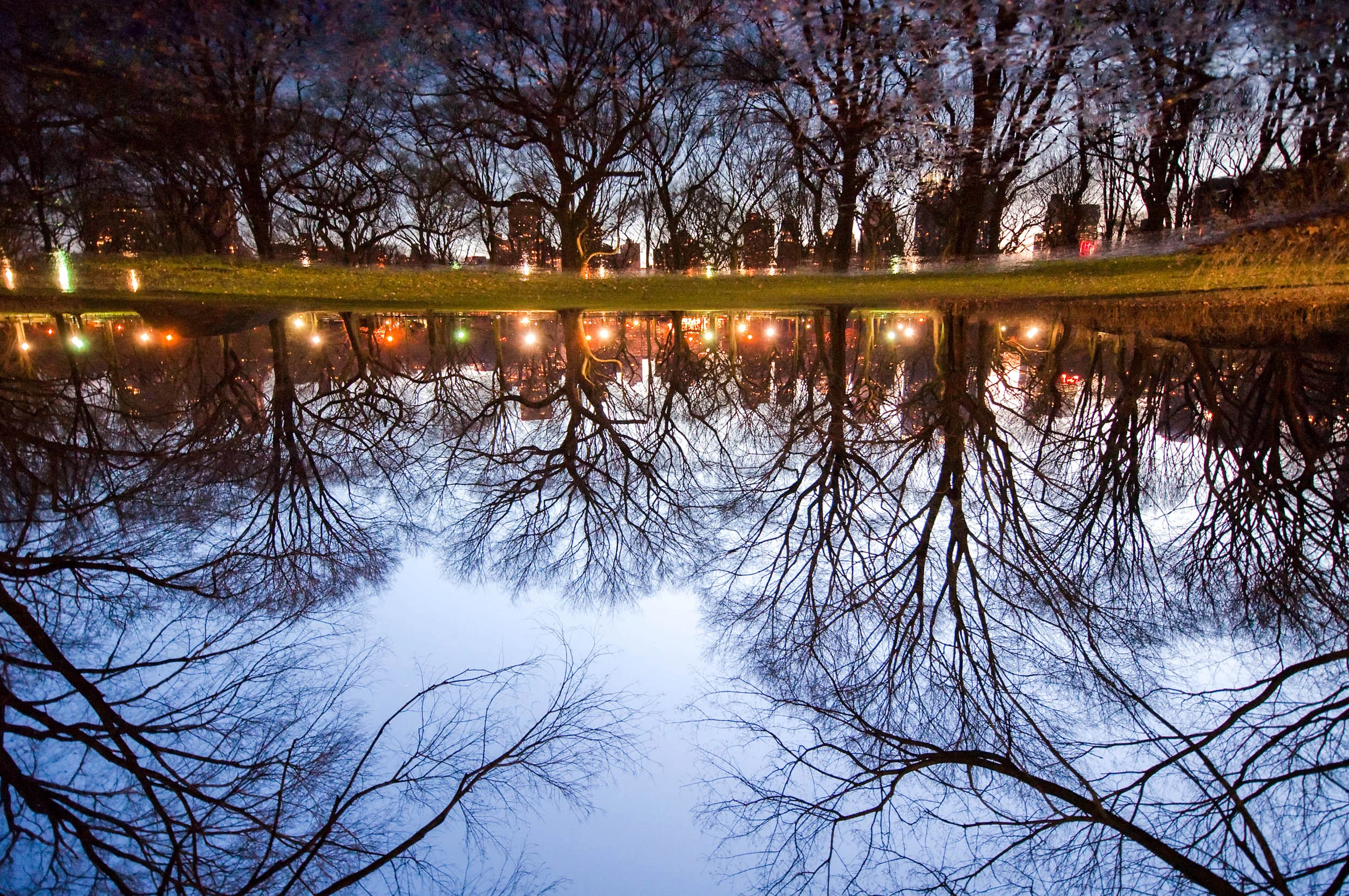 Central Park, New York City