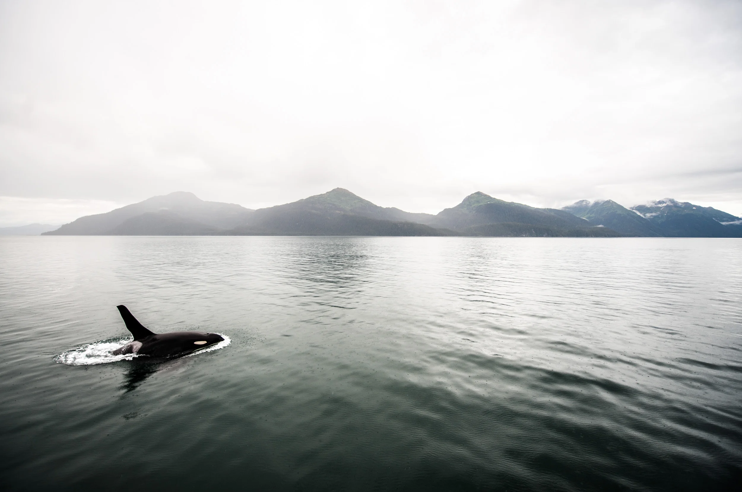 Prince William Sound, Valdez, Alaska