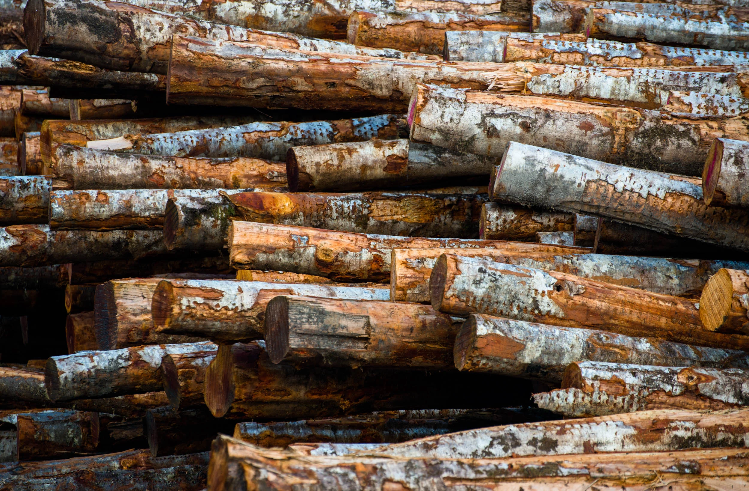Cascade Hardwood Port Angeles, Washington