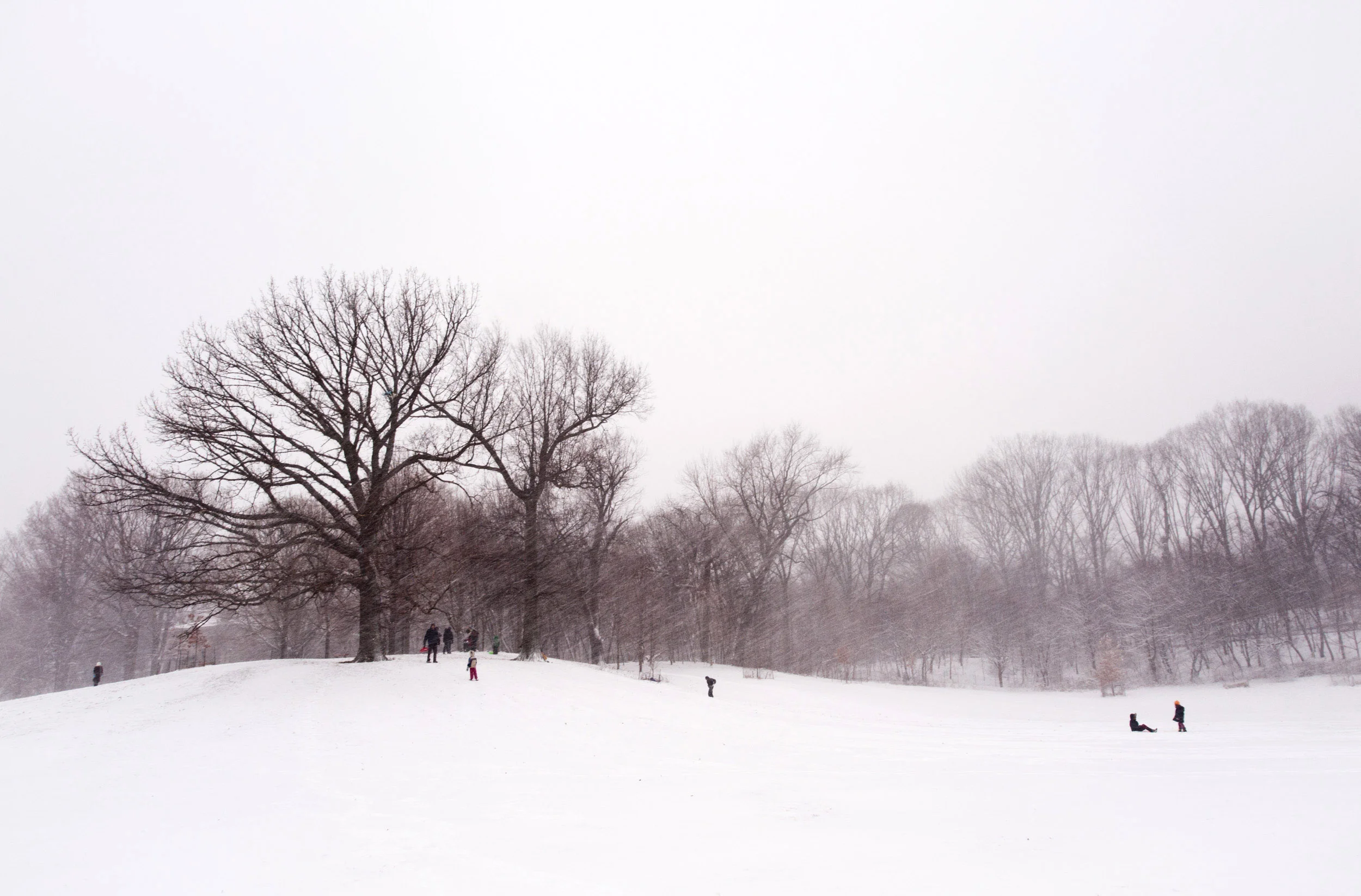 Prospect Park, Brooklyn