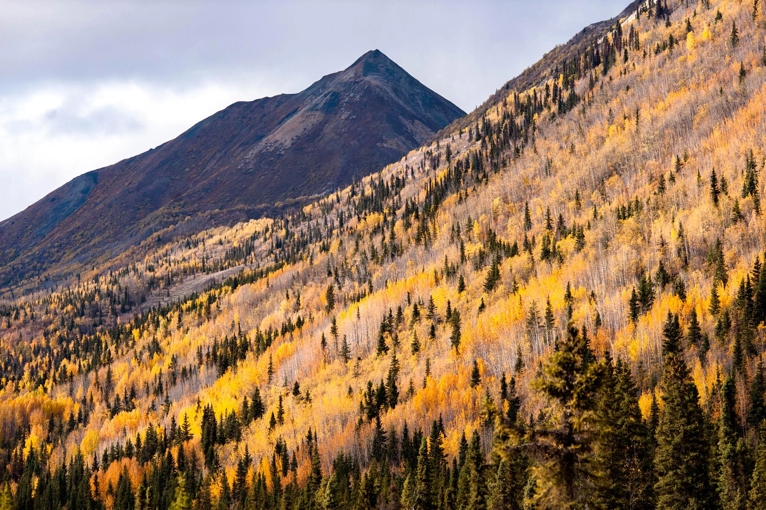 Wrangell-St. Elias National Park, Alaska