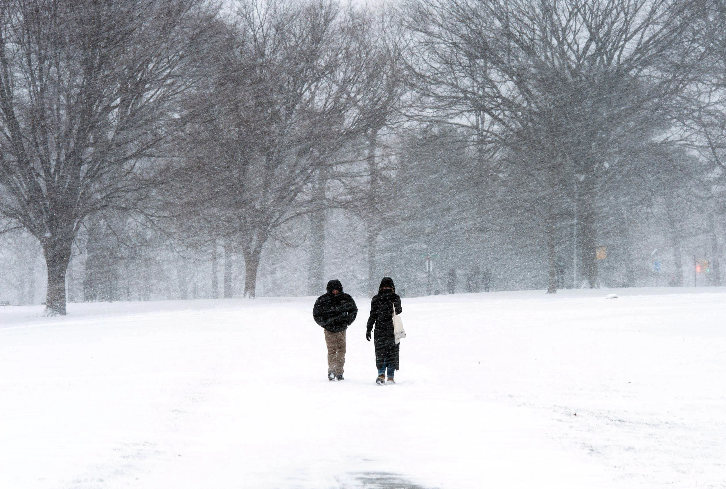 Prospect Park, Brooklyn