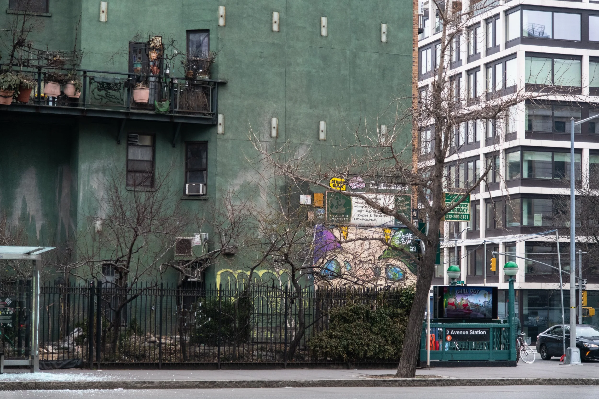 navidbaraty-bereniceabbott-31.jpg