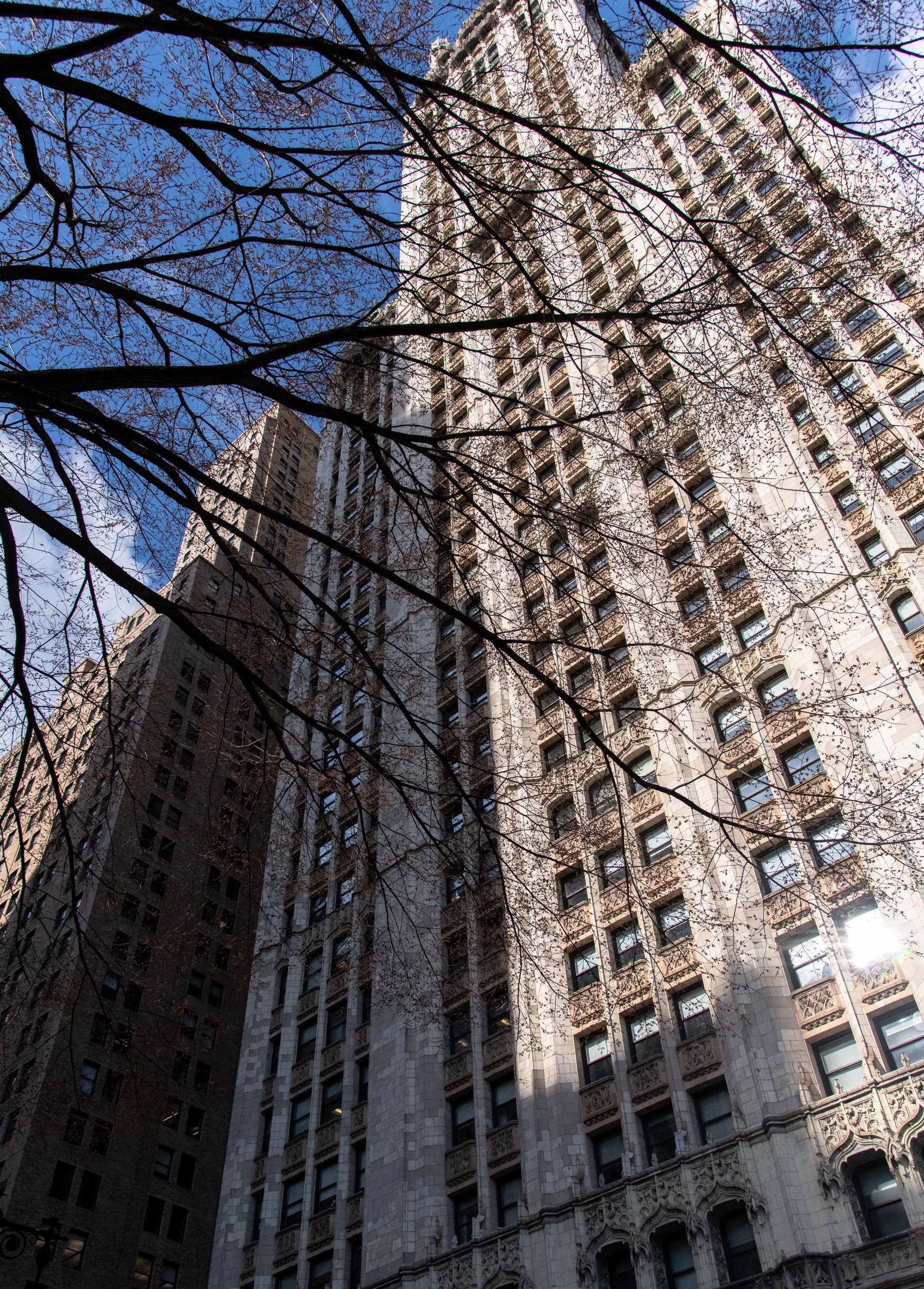 navidbaraty-bereniceabbott-46.jpg